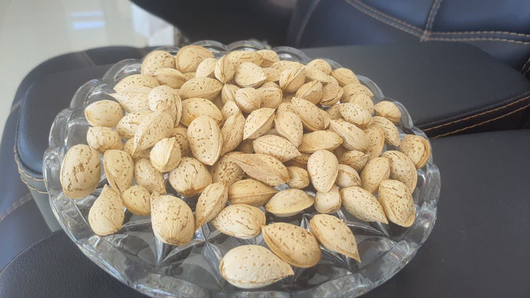 تصویر اصلی بادام محب | پوست کاغذی و سبک | مخصوص ترکیب در آجیل - ایزدپورشاپ